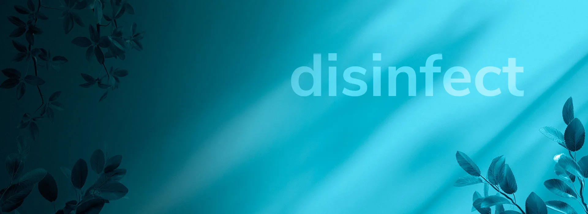 Header disinfect general i hygienic 1920x700